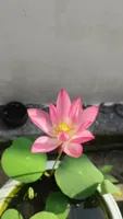 user02234的头像 - 机器猫次元