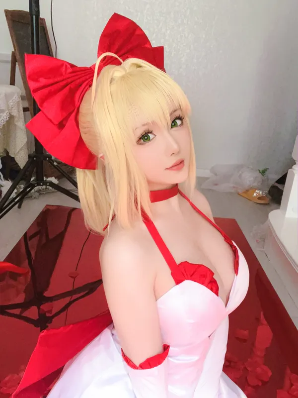 星之迟迟 – Fate 尼禄 [43P] - 机器猫次元