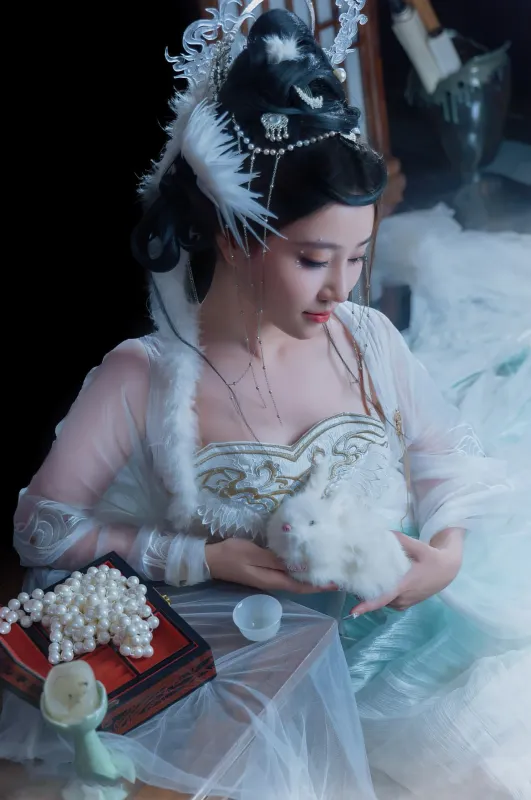 年年Nnian – 嫦娥仙子 [49P] - 机器猫次元