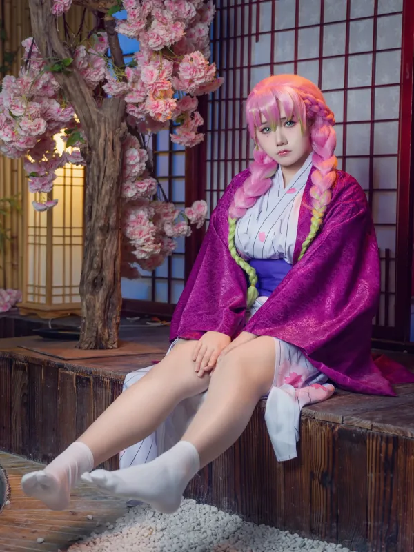 麻花酱 - 鬼灭之刃 甘露寺 [22P]