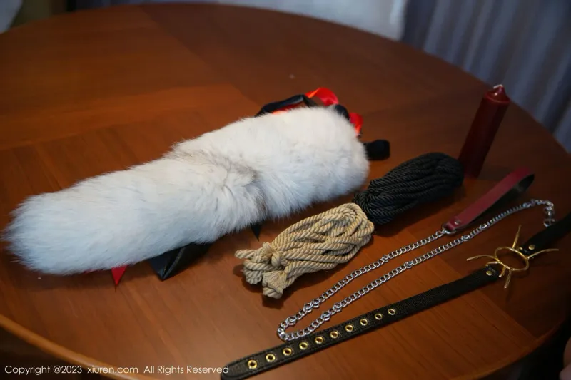 XiuRen 秀人 No.6890 是小逗逗 猫咪造型拍摄性感写真 [81P] - 机器猫次元