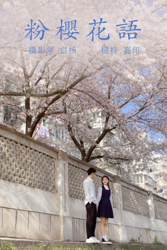 模特合集 – 《粉樱花语》[28P] - 机器猫次元