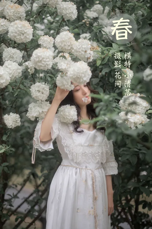小清菡呀 - 《春》[21P]