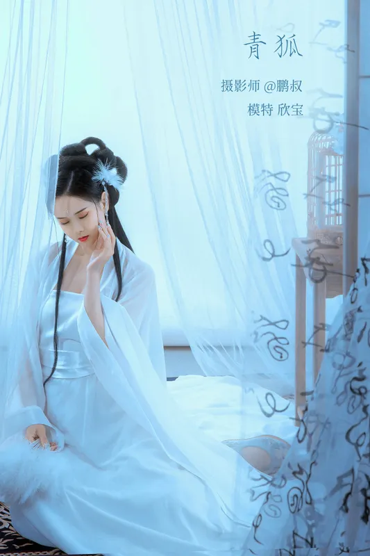 欣宝 – 《青狐》[22P] - 机器猫次元