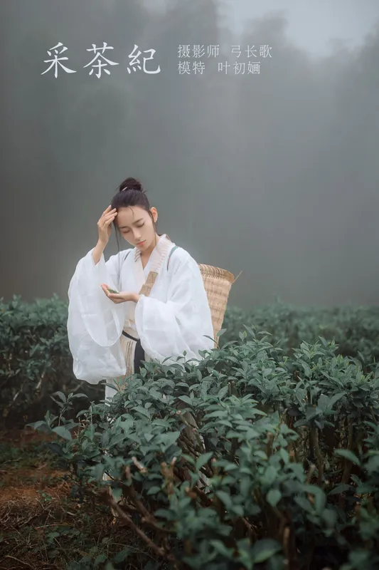 叶初婳 – 《采茶纪》[23P] - 机器猫次元