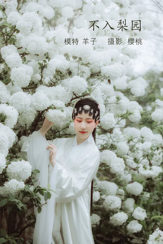 羊子bionergy-X – 《不入梨园》[25P] - 机器猫次元