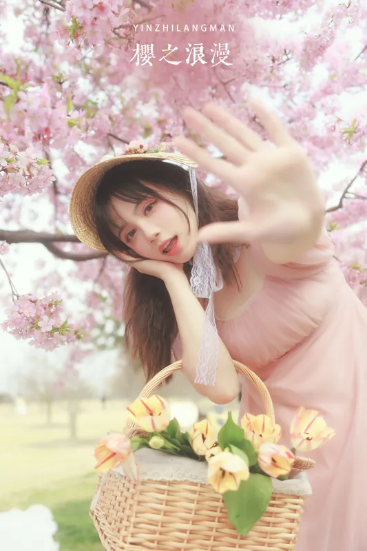贰加六 – 《樱之浪漫》[24P] - 机器猫次元