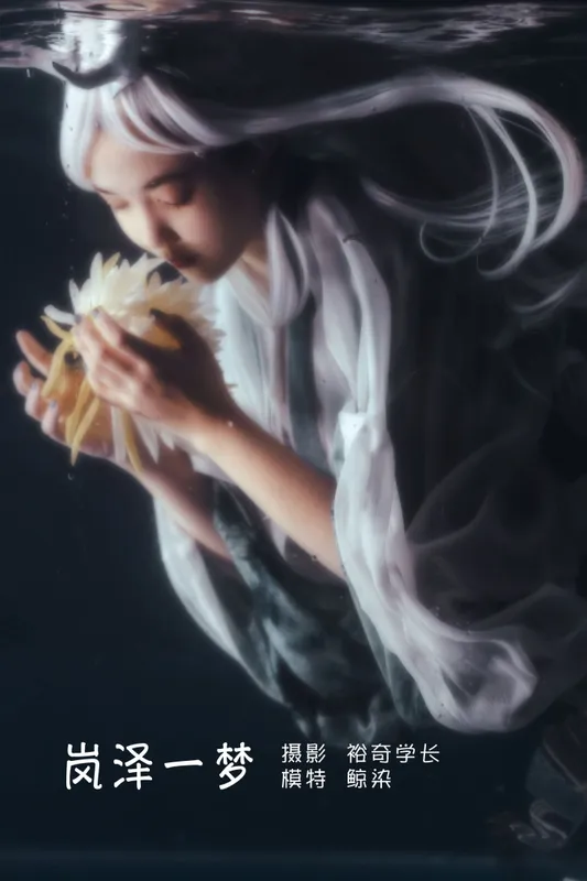 鲸染 - 《岚泽一梦》[20P]