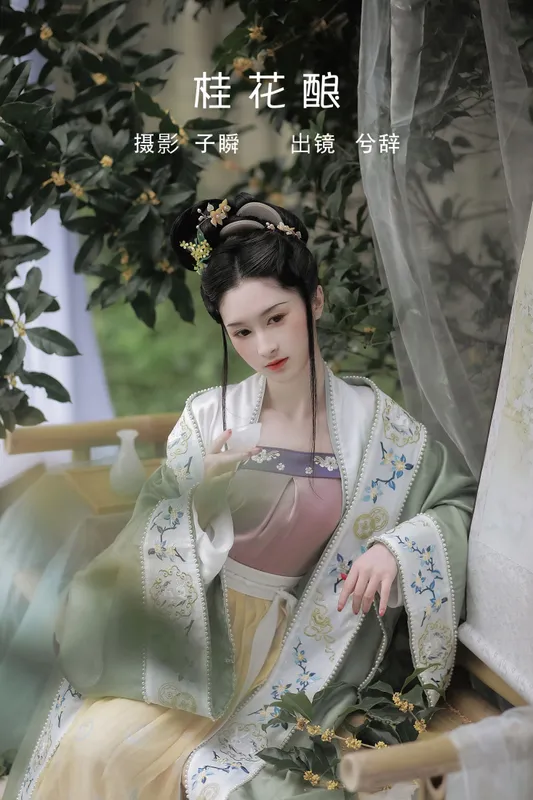 兮兮兮辞_ – 《桂花酿》[29P] - 机器猫次元