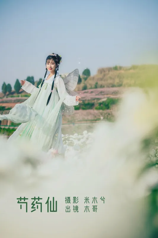 木哥 – 《芍药仙》[27P] - 机器猫次元