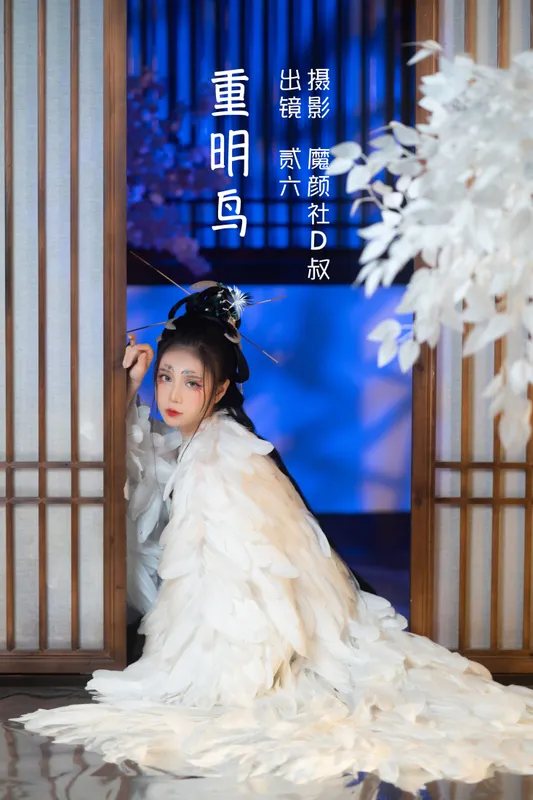 贰加六 – 《重明鸟》[40P] - 机器猫次元