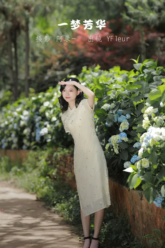 与芳 - 《一梦芳华》[28P]