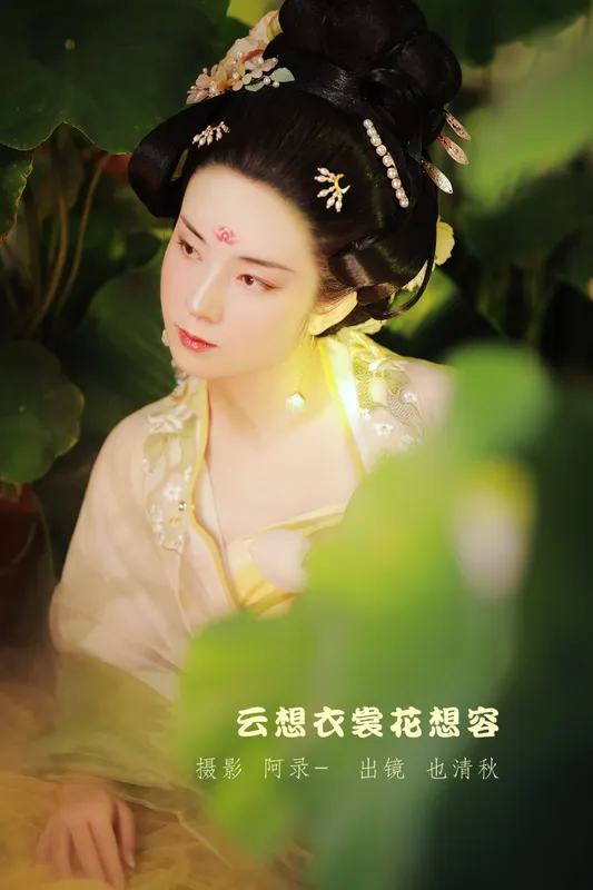 也清秋 – 《云想衣裳花想容》[32P] - 机器猫次元