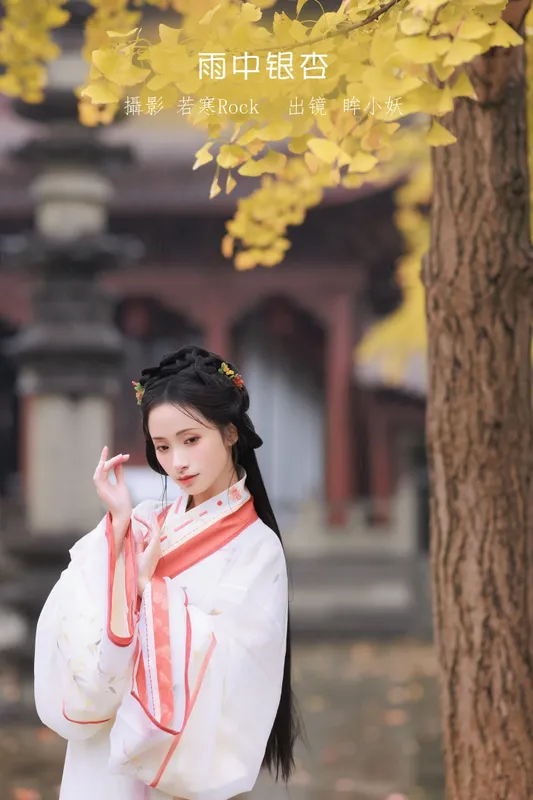 眸小妖 - 《雨中银杏》[24P]