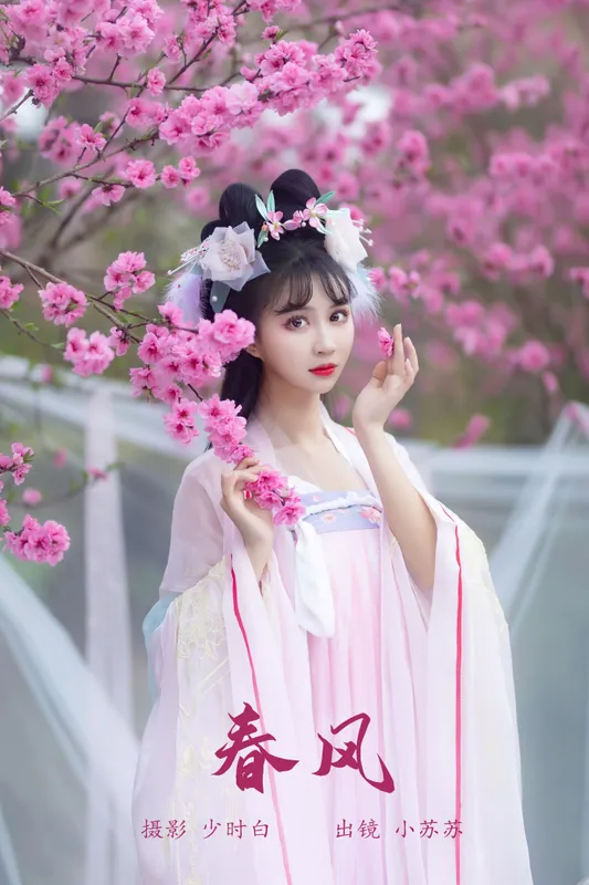 绮罗生的小苏苏 – 《春风》[28P] - 机器猫次元