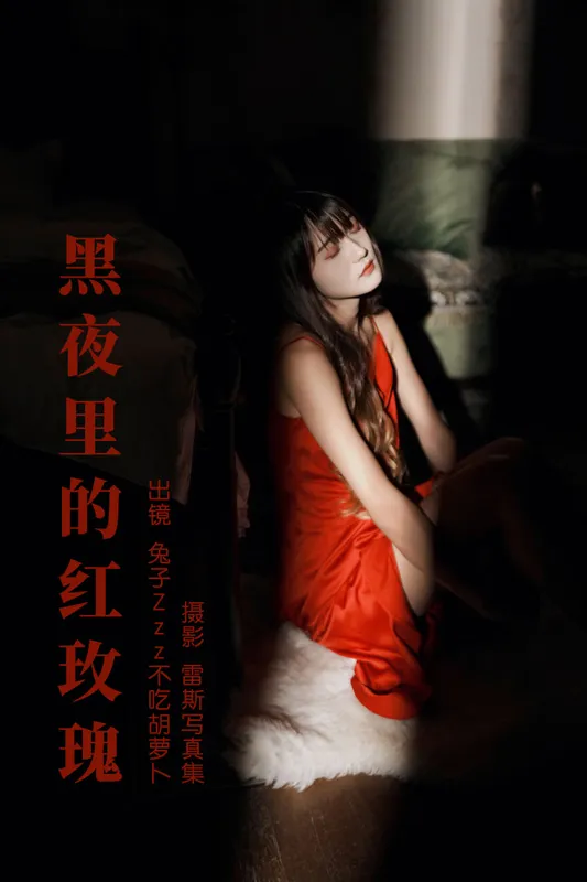 兔子Zzz不吃胡萝卜 – 《黑夜里的红玫瑰》[36P] - 机器猫次元