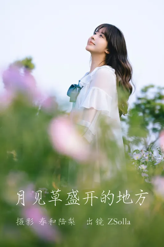 Z_Solla – 《月见草盛开的地方》[20P] - 机器猫次元