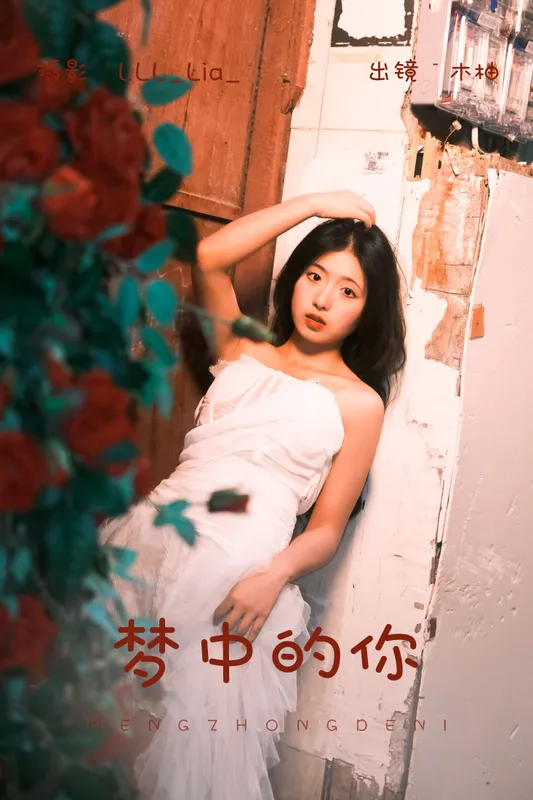 木柚柚 – 《梦中的你》[22P] - 机器猫次元
