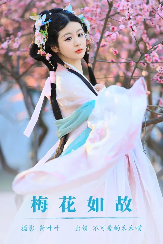不可爱的禾禾喵 – 《梅花如故》[28P] - 机器猫次元