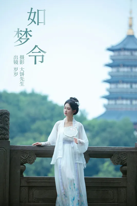 湫一只岁岁 – 《如梦令》[22P] - 机器猫次元