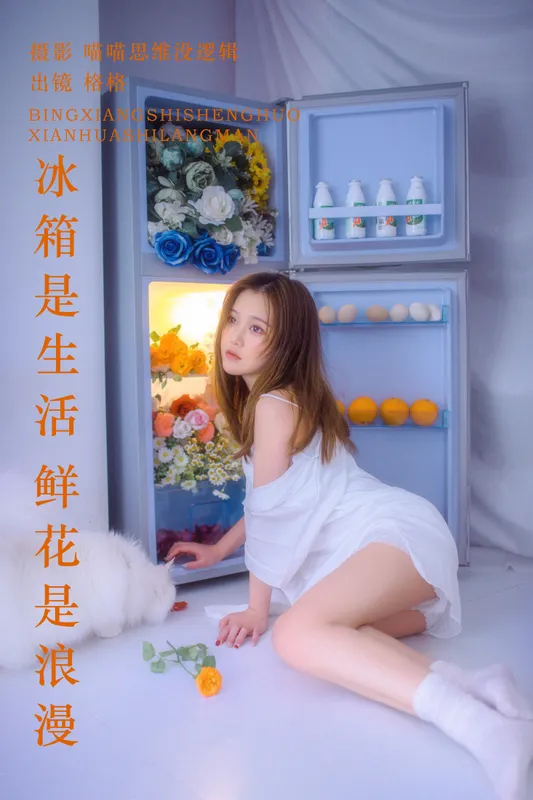 格格 – 《冰箱是生活 鲜花是浪漫》[22P] - 机器猫次元