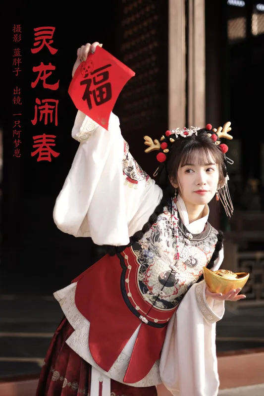 一只阿梦崽 – 《灵龙闹春》[29P] - 机器猫次元