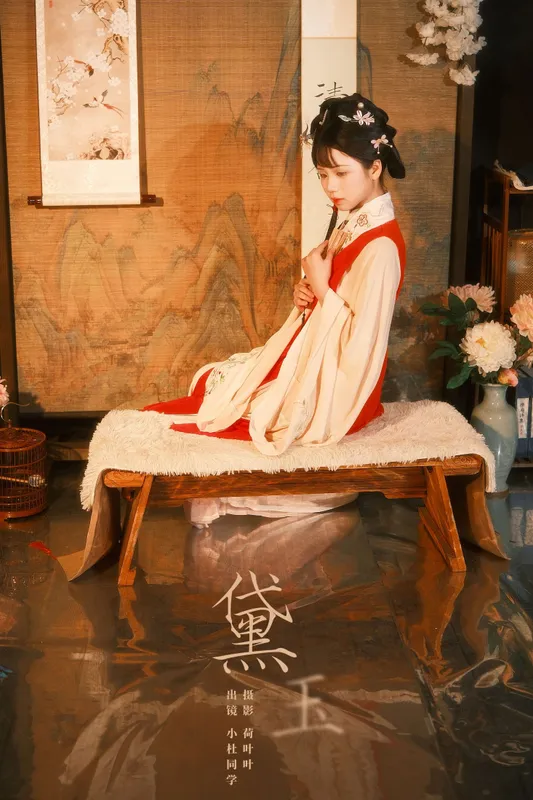 小杜同学 - 《黛玉》[24P]