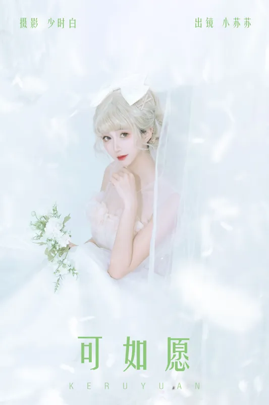 绮罗生的小苏苏 – 《可如愿》[26P] - 机器猫次元