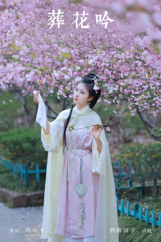 酒酿圆子 – 《葬花吟》[25P] - 机器猫次元