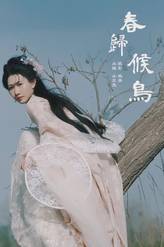 小贝壳请不要放弃 – 《春归候鸟》[24P] - 机器猫次元