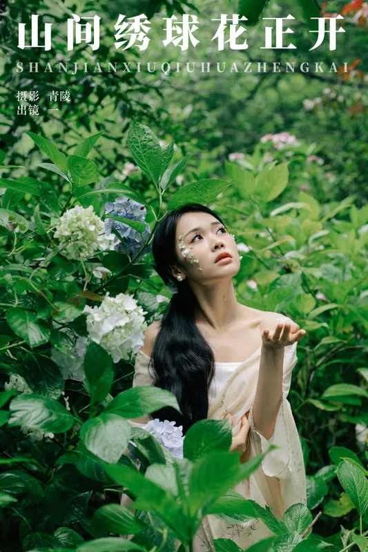 一 – 《山间绣球花正开》[26P] - 机器猫次元