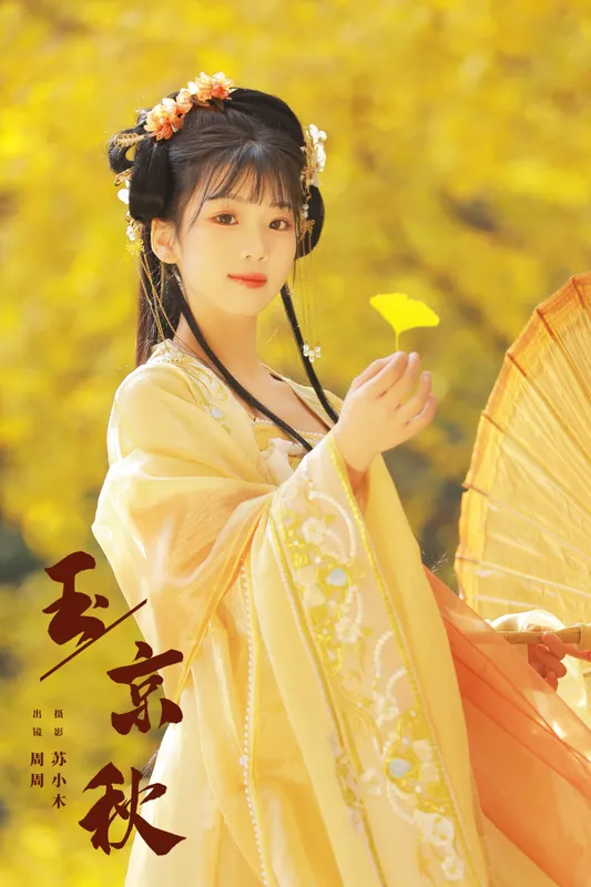 周周Ay - 《玉京秋》[25P]