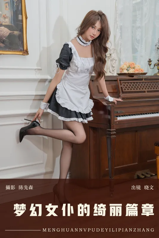晓文 - 《梦幻女仆的绮丽篇章》[22P]