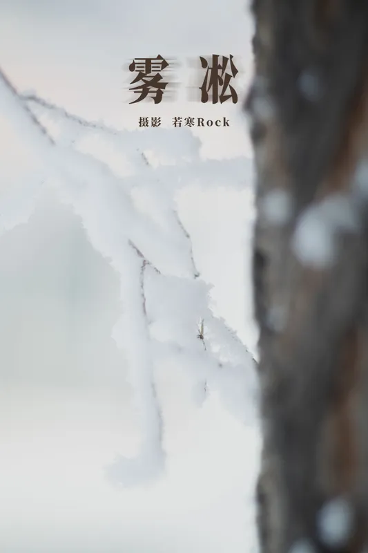 - 《雾凇》[15P]