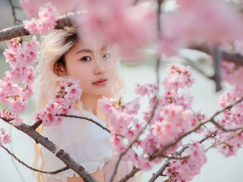 点点 – 《樱花树下》[16P] - 机器猫次元