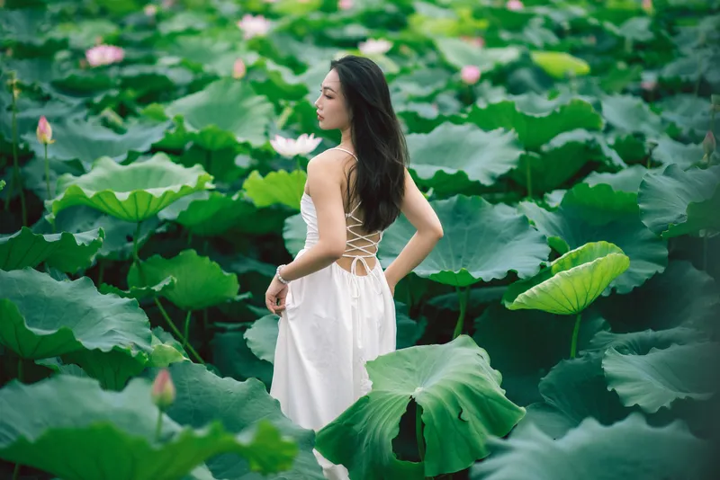 橘子 – 《雨荷》[26P] - 机器猫次元