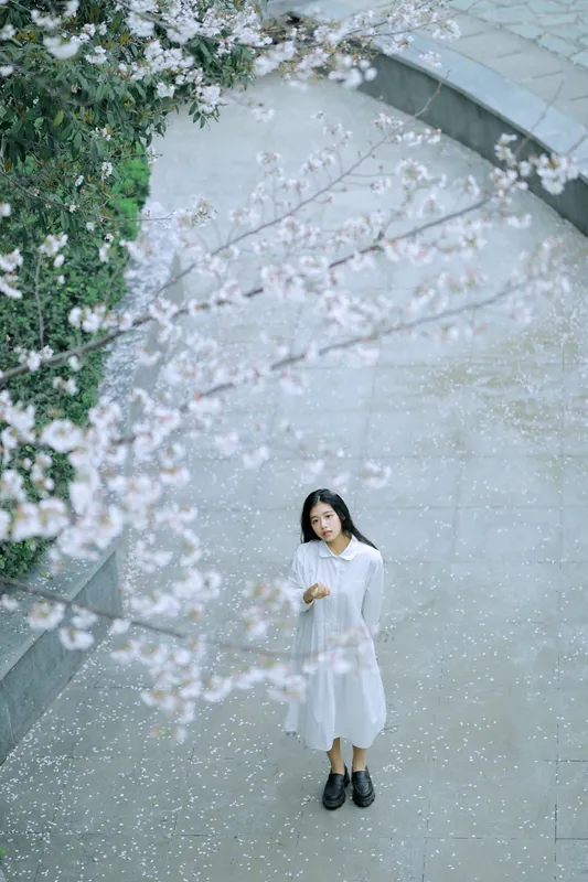 龙星儿 – 《樱花少女》[30P] - 机器猫次元