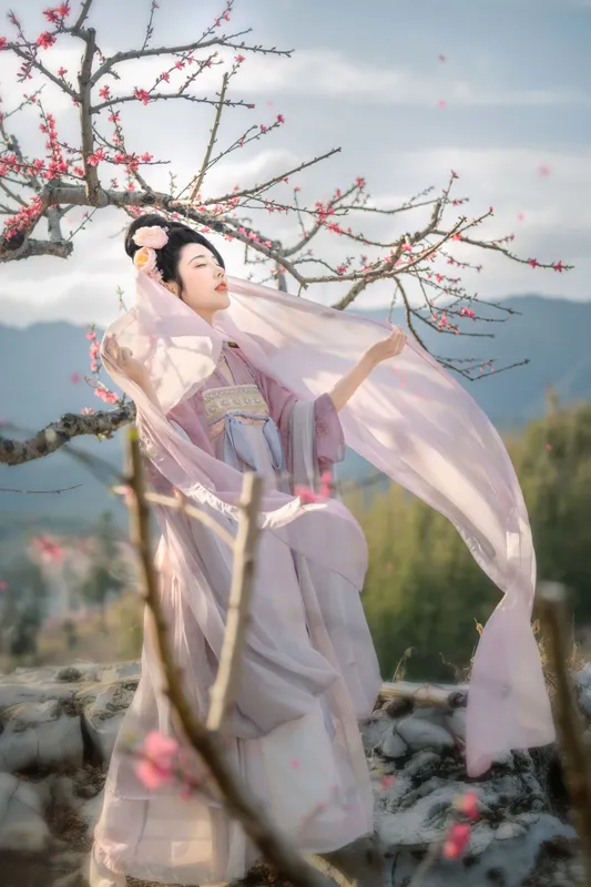 CC – 《花非花》[32P] - 机器猫次元