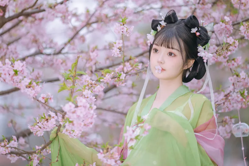 百狸 – 《春知晓》[18P] - 机器猫次元