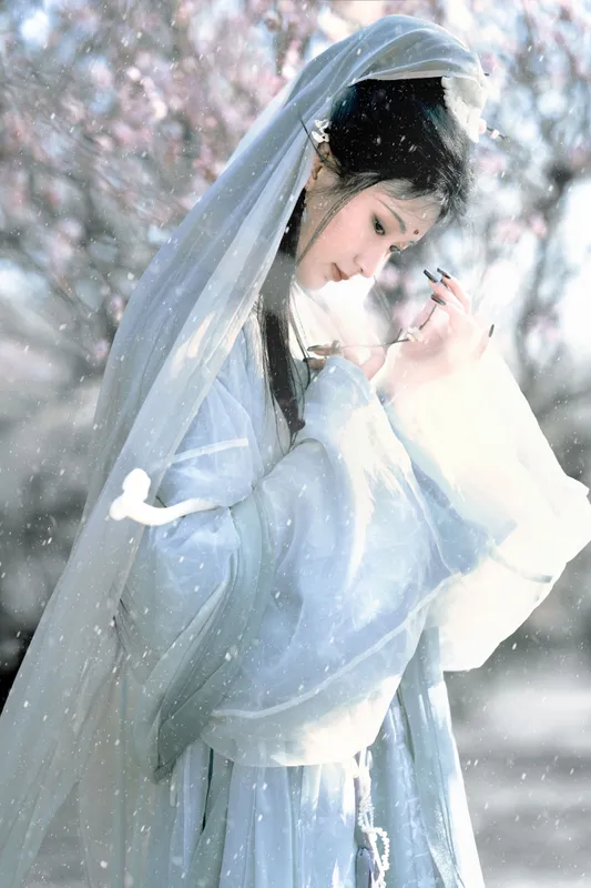 荷里寒 – 《琉璃世界，白雪红梅》[14P] - 机器猫次元