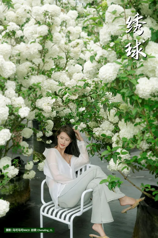 Chenaling_CL - 《绣球》[20P]