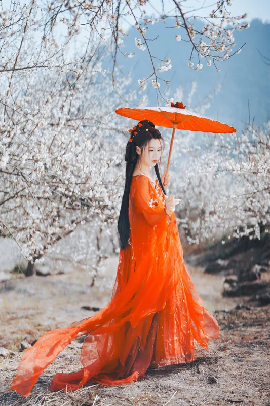 浅月没有月 - 《梅花古风人像拍摄》[18P]