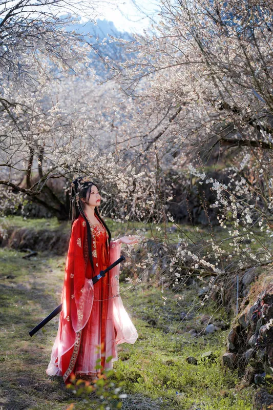 阿咩 – 《梅花古风人像拍摄》[14P] - 机器猫次元
