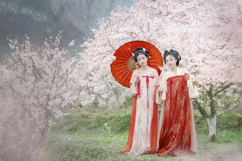 遥七不卖鸡毛菜 佳妃 – 《一朝春雨落·十里春花开》[9P] - 机器猫次元
