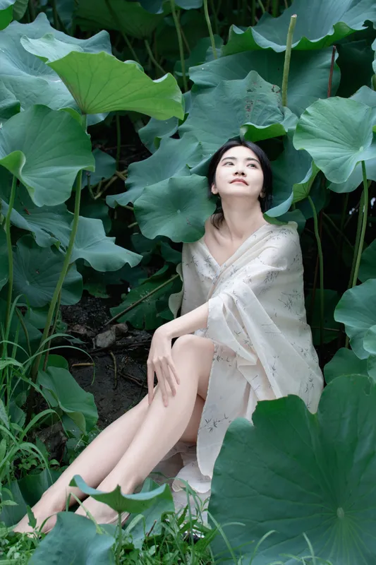 丹 - 《夏荷之殇》[32P]