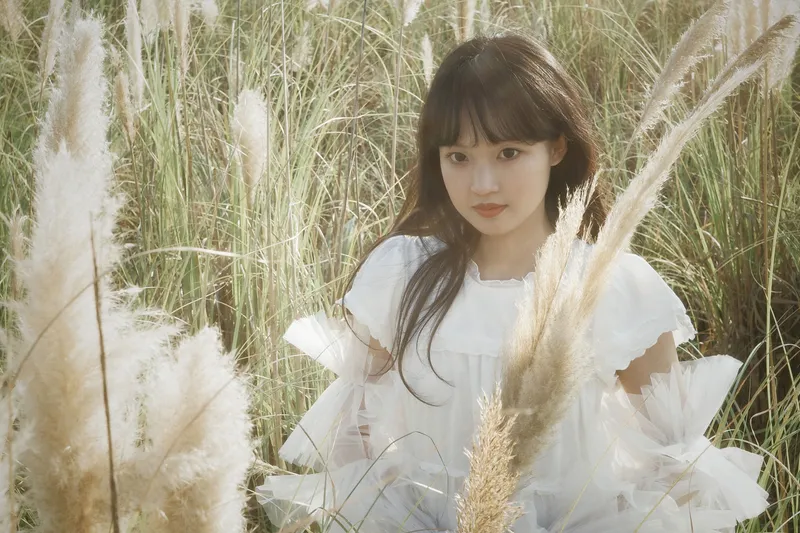 – 《芦苇幻梦》[10P] - 机器猫次元