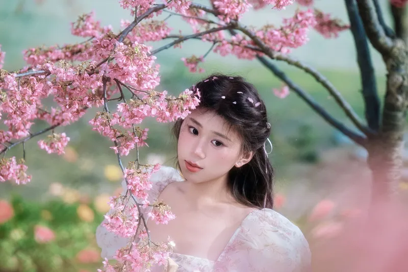 丹丹 – 《樱花树下》[18P] - 机器猫次元