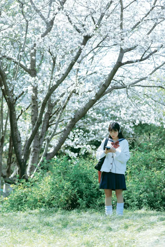 萌三碎 - 《白樱少女》[12P]