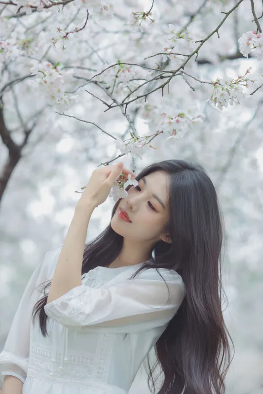西西 – 《白色樱花》[28P] - 机器猫次元