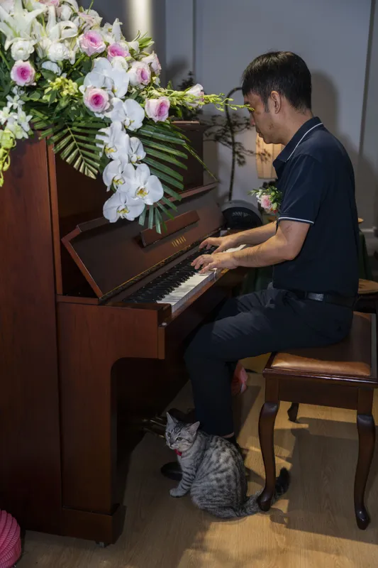 《好奇猫，觅琴音》[9P] - 机器猫次元